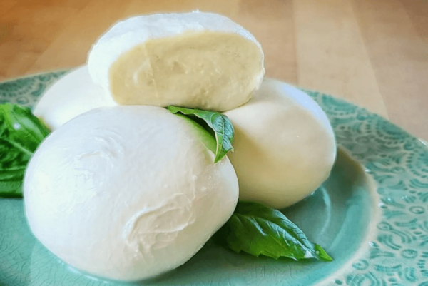 Mozzarella Cheese