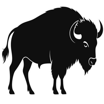 Buffalo