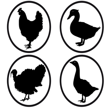 Poultry