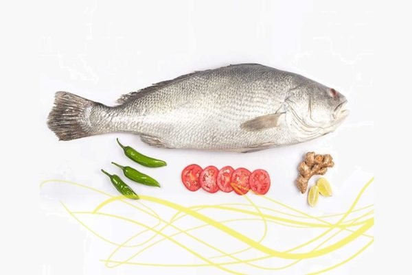 Koral Fish