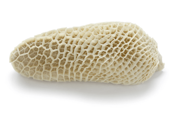 Cow Tripe - Image 3