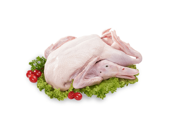 Duck