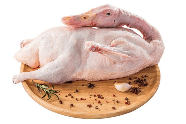 Duck - Image 2