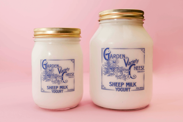 Organic Yogurt